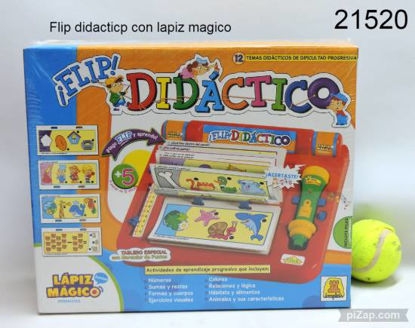 Imagen de FLIP DIDACTICO 6.24